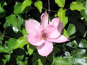 �܂��Ō�������