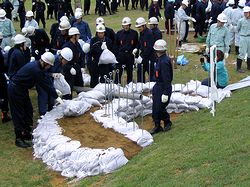 ���̗֍H�@�̌P���̗l�q