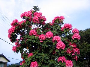 �֎x���Ō�������