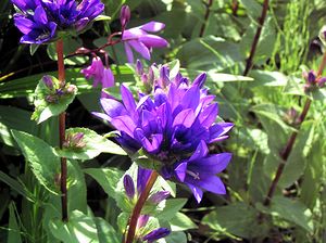 �����Ō�������