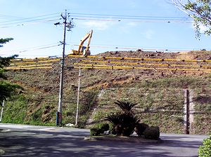 �ۖV��̐�������k�̗��R