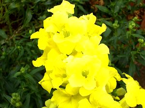 �܂��Ō�������