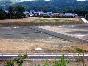 �W���̓�ɂ������R���Ȃ��Ȃ�A���i����ς������ؒ��̏W��