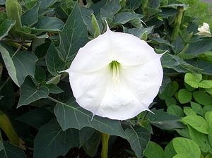 �܂��Ō�������