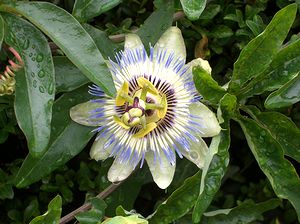 �܂��Ō�������