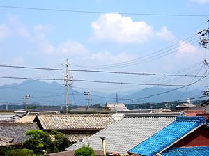 �A�p�[�g�̐��̑�����֒����ʂ�����