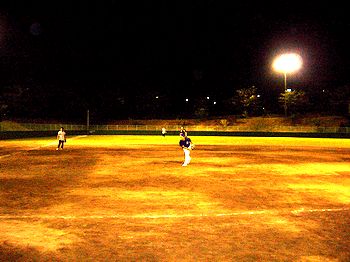 �i�C�^�[�̗l�q