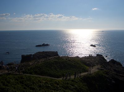 ���q�V���猩�����{�C�i�Čf�j