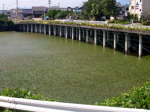 �������ʑS�̂𕢂��A���������r�̑�