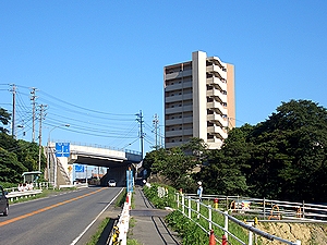 �������̎�O�ɂ����w�A�p�[�g�i���̉��łP�S�K�}���V���������ݒ��j