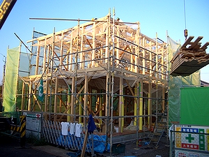 �����܂őg�ݏオ��������