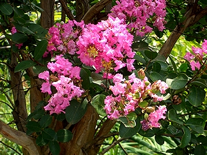 �܂��Ō�������