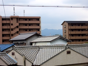 �������P�����Ɍ����w�̌����i����ɂ���A�p�[�g���猩�Ă������j