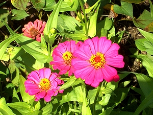 �܂��Ō�������