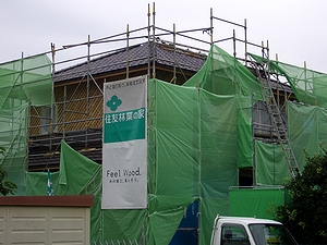 ���������̂�A�`�������Ă�������