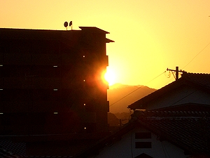 �A�p�[�g���猩�������̗[��