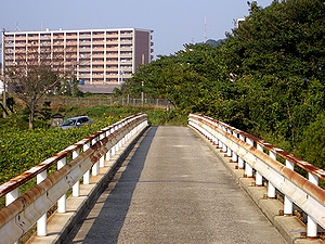 �E�R���i�������H�łقƂ�ǌ�ʗʂ͂Ȃ��j