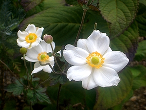 �܂��Ō�������