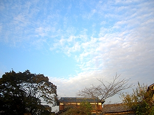 �����̏H��i�~�����j