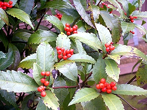 �Z�������E