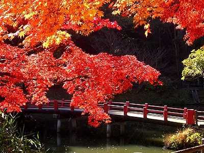 �T�R����