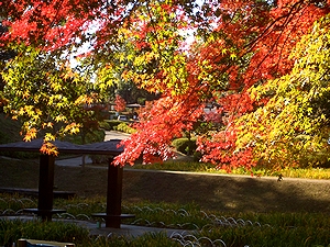 �T�R����