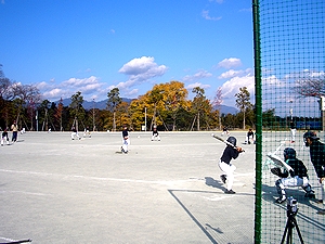 �~�Ƃ͎v���Ȃ��g�����̒��A�\�t�g�{�[��������q�ǂ�����