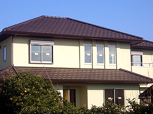 ���đւ���ꂽ����i�삩�猩�����́j