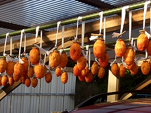 �����ɂ邳�ꂽ�����`�i��쒬�Łj