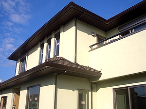 �P�U���Ɉ����n���ƂȂ鎩��