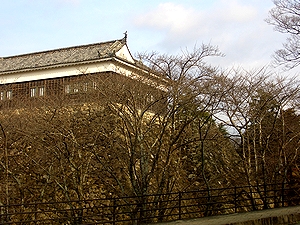 �~�i�F�̑����E