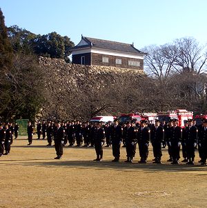 �����E���o�b�N�ɏ��h�̏o���ߎ�