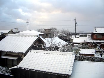 ����Q�K����̐�i�F�i�������j