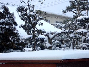 ����̃_�C�j���O���猩����i�F�i���j