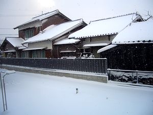 ����̃_�C�j���O���猩����i�F�i��j