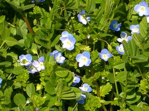 �@�p���Ō�������