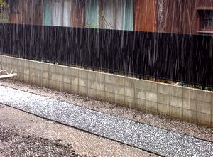 �����̃q���E