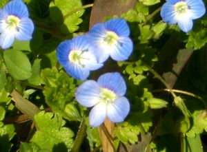 �܂��Ō�������