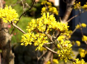 �܂��Ō�������