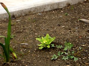 ��Ɋ���o�����ӂ��̂Ƃ��i���đւ��ō��N������o�����S�z���������j