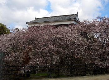 ���J�܂ł��Ə����̍��i�����E�Łj