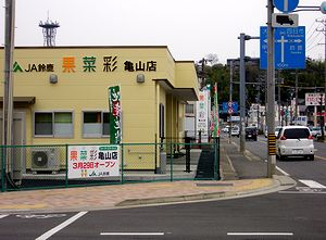 �R���Q�X���ɃI�[�v�������_���̒������u�ʍ؍ʁi���Ȃ����j�v