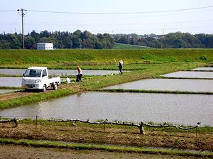 �c�A�����n�܂����i�鎭�s�Łj