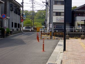 ���̓��H�͂��ɂȂ�����ł���̂��i�ʐ^���ʂ���K���E���e�����炢�j