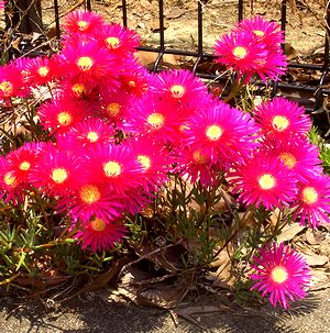 �܂��Ō�������