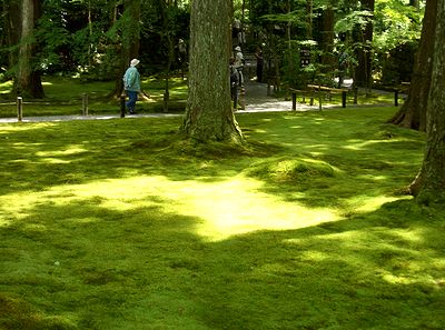 ���s�E�匴�E�O��@�̒�