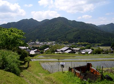 ���s�E�匴�̗��̕��i