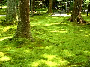 ���s�E�匴�E�O��@�̒�