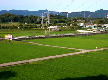 �X�Ƃ����c��ځi�z�C�����狌�����P�������ʂ�����j