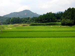 �X�Ƃ����c��ځi�֒��Łj